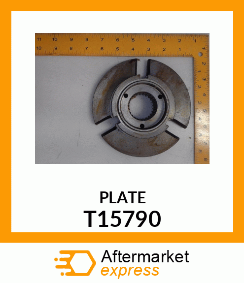 PLATE T15790