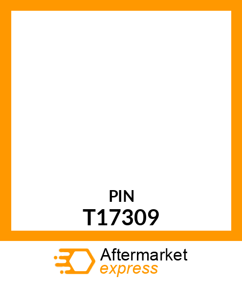 PIN T17309