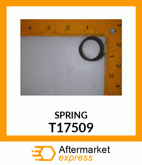 SPRING T17509