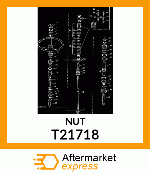 NUT T21718