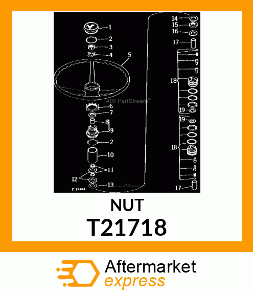 NUT T21718