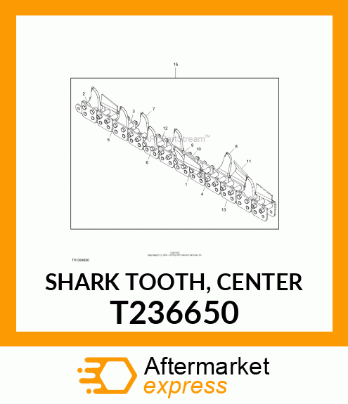 SHARK TOOTH, CENTER T236650