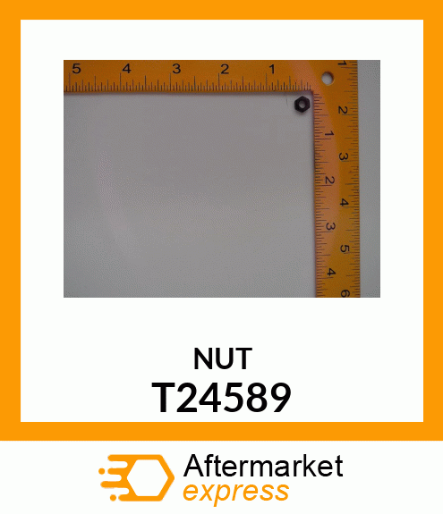 NUT T24589