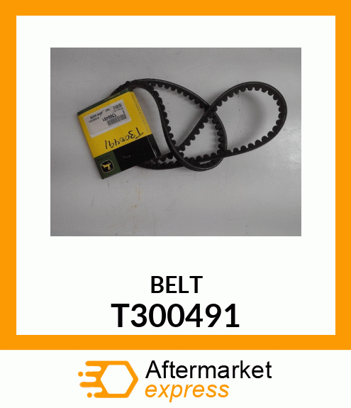 BELT T300491