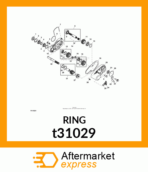 Ring t31029