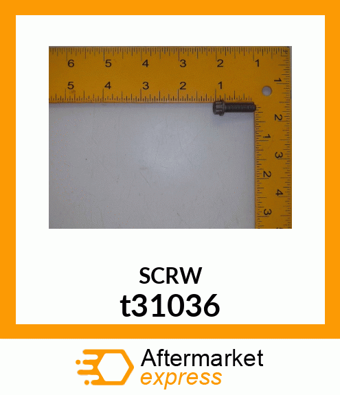 SCREW t31036