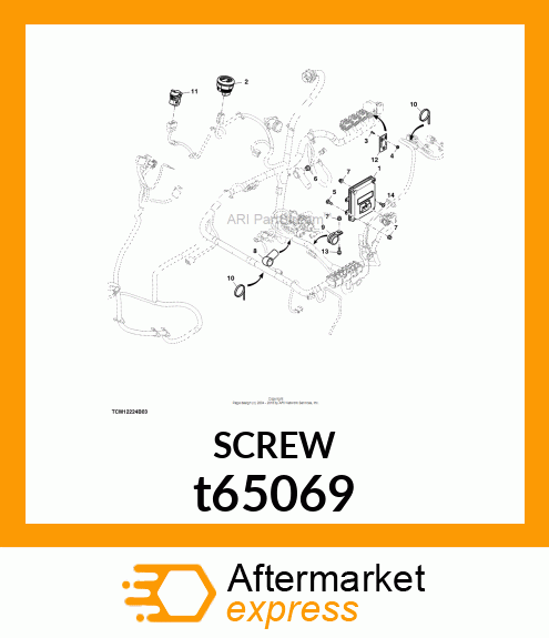 SCREW,SPECIAL t65069