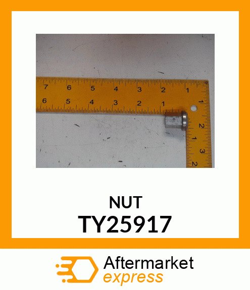 GR 31 CLOSED STAINLESS STEEL NUT TY25917