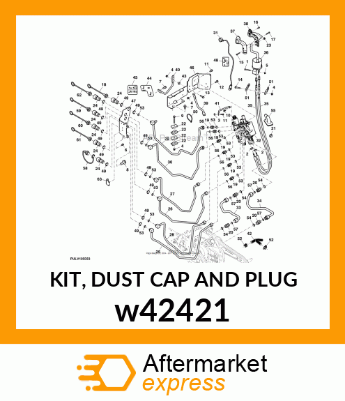 KIT, DUST CAP AND PLUG w42421