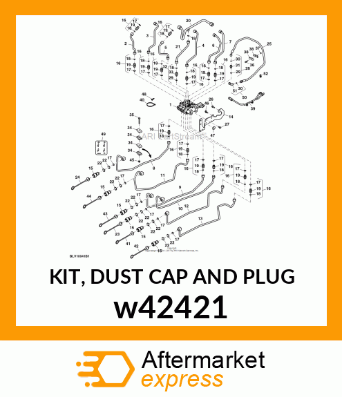 KIT, DUST CAP AND PLUG w42421