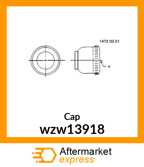 Cap wzw13918