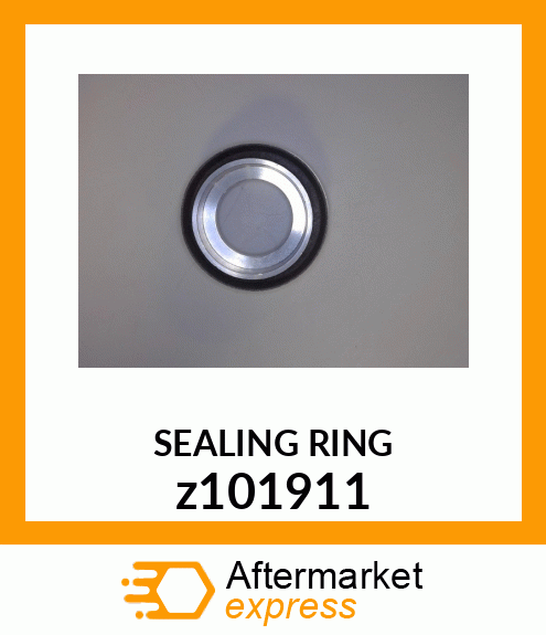 SEALING RING z101911