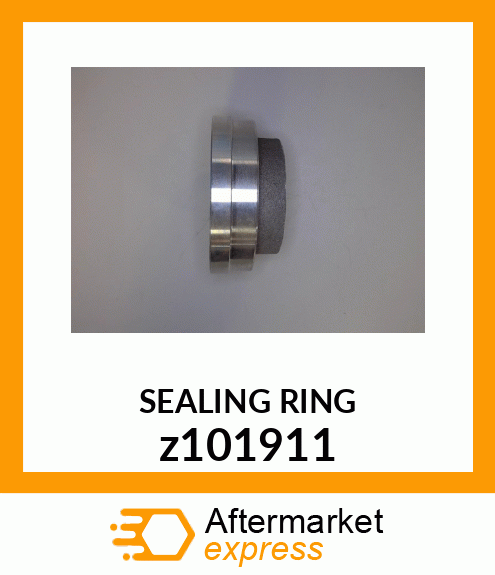 SEALING RING z101911