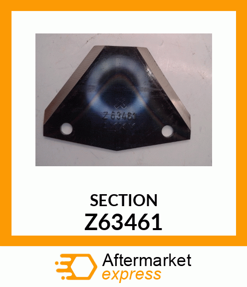 SECTION Z63461