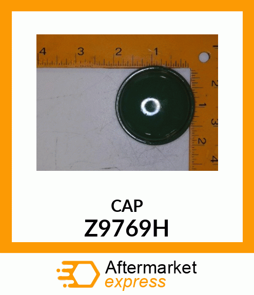 HUB CAP Z9769H