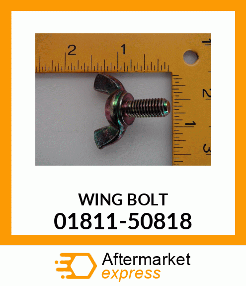 BOLTW/WING 01811-50818