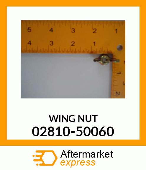 WINGNUT 02810-50060