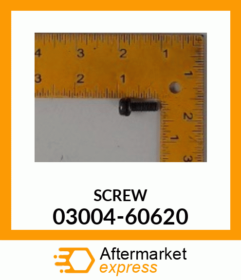 SCREW 03004-60620