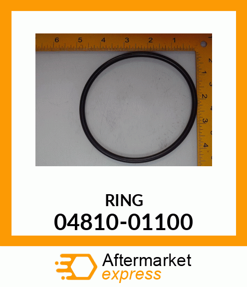 RING 04810-01100