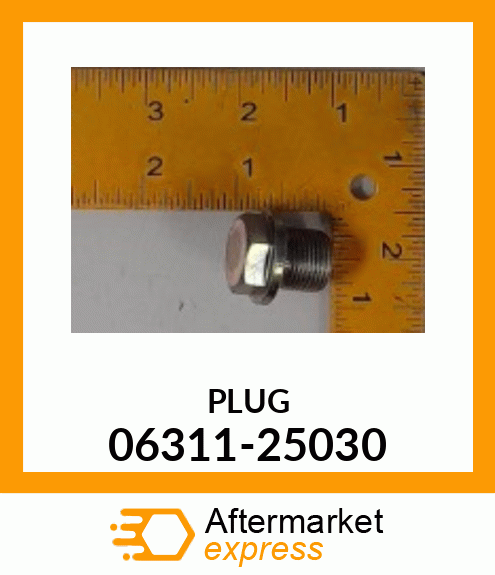 PLUG 06311-25030