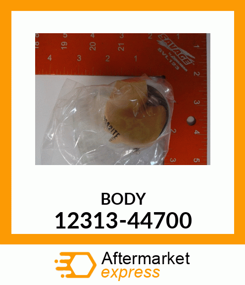 BODY 12313-44700