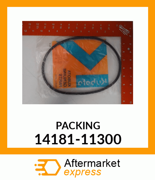 PACKING 14181-11300