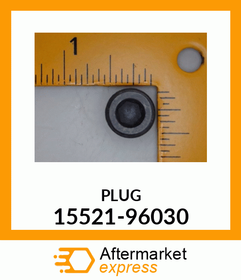 PLUG 15521-96030