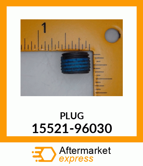 PLUG 15521-96030