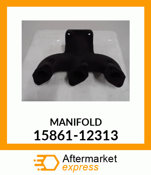 MANIFOLD 15861-12313