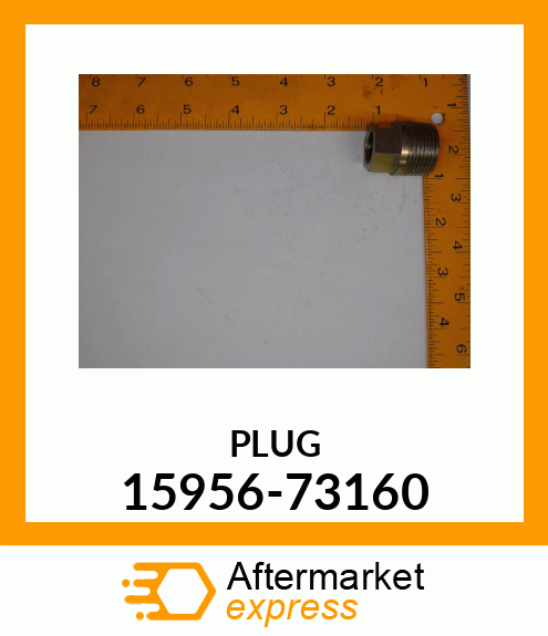 PLUG 15956-73160