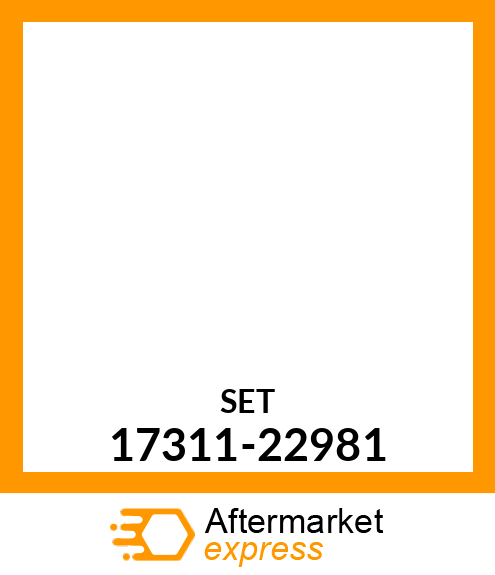 SET 17311-22981