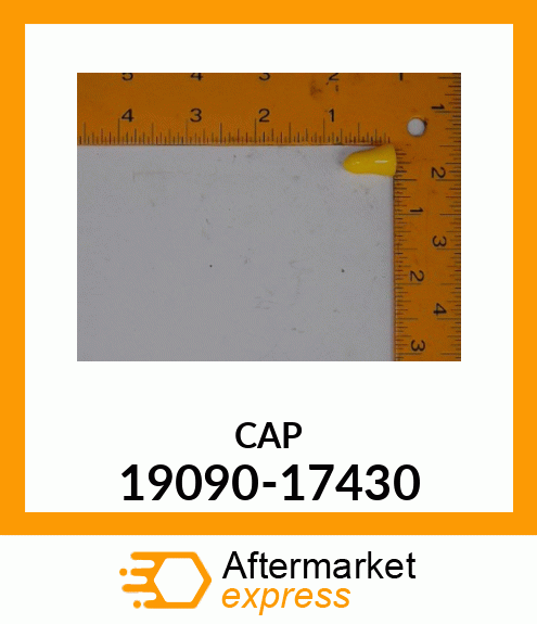 CAP 19090-17430