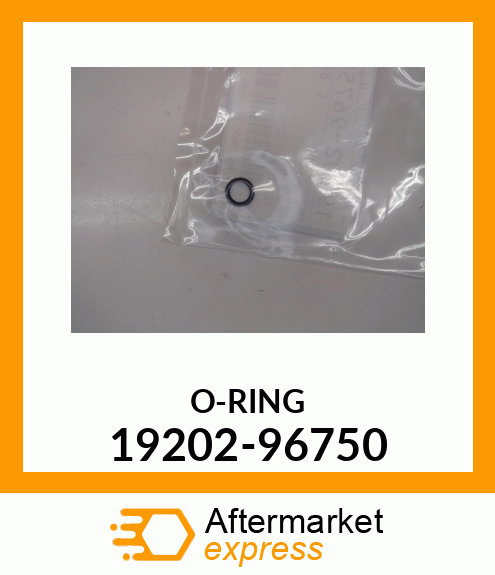 ORING 19202-96750