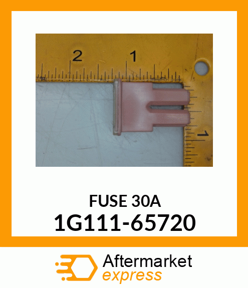 FUSE30A 1G111-65720