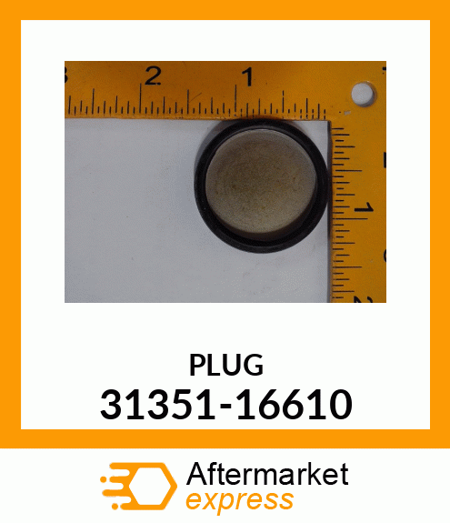 PLUG 31351-16610