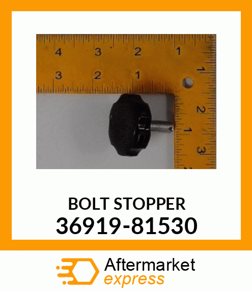 BOLTSTOPPER 36919-81530