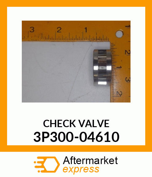 CHECK VALVE 3P300-04610