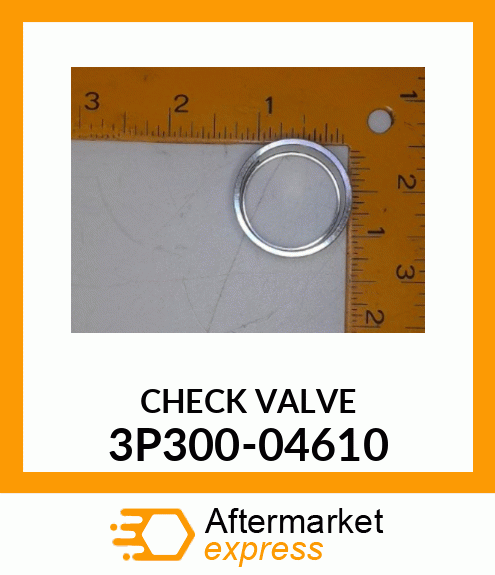 CHECK VALVE 3P300-04610