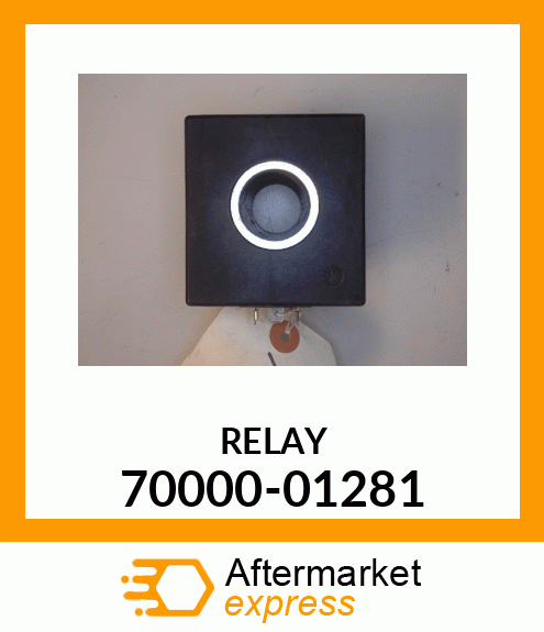 RELAY 70000-01281