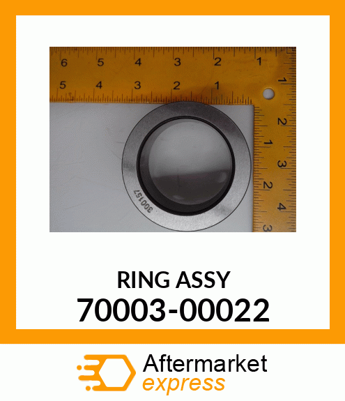 RING_ASSY 70003-00022