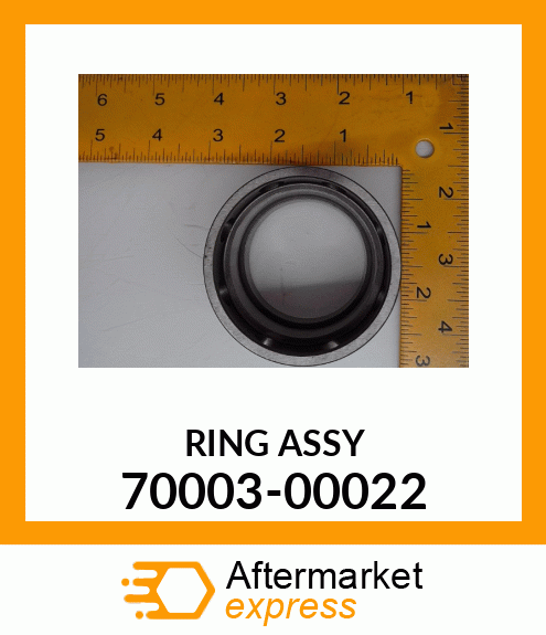 RING_ASSY 70003-00022