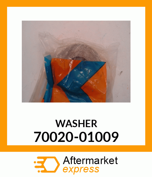 WASHER 70020-01009