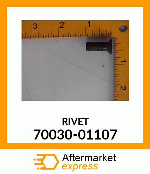 RIVET 70030-01107