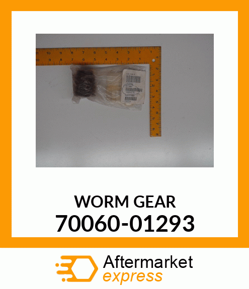 WORMGEAR 70060-01293