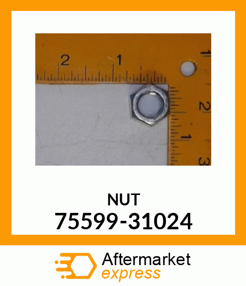 NUT 75599-31024