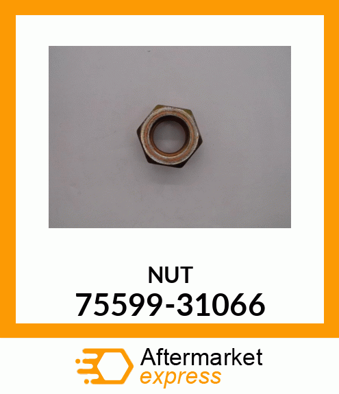 NUT 75599-31066