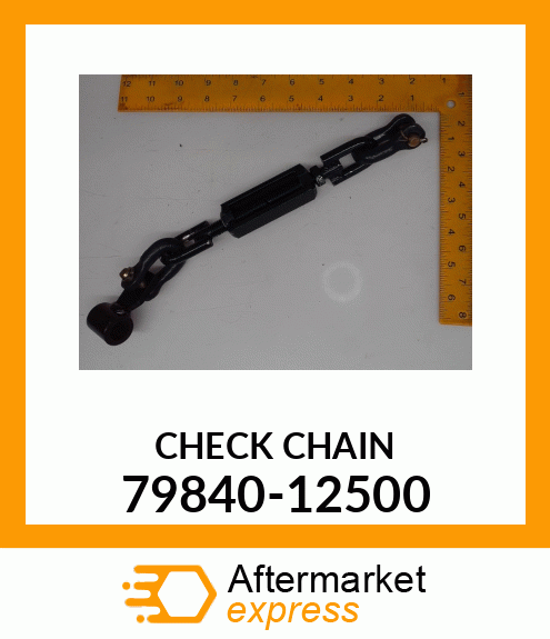 CHECKCHAIN 79840-12500