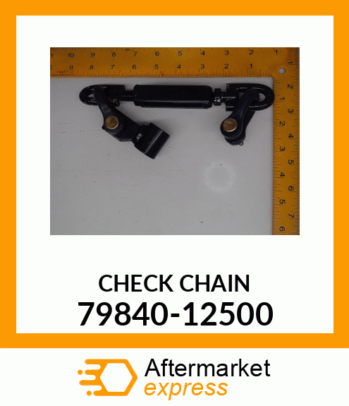 CHECKCHAIN 79840-12500