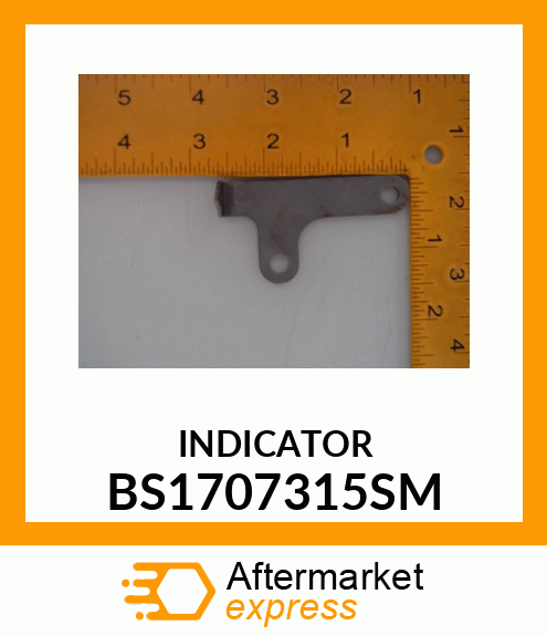 INDICATOR BS1707315SM