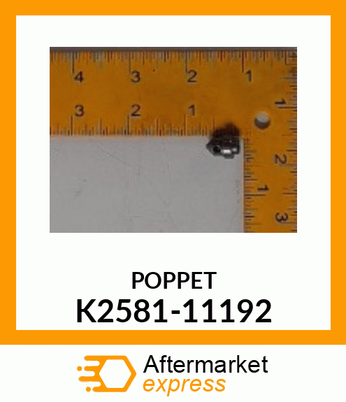 POPPET K2581-11192